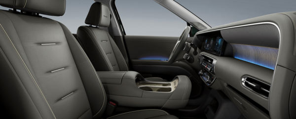 현대 팰리세이드NHL 에디션